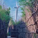 Bán đất Đảo Phú Quý 900m2 hai mặt đường 450 triệu - Ảnh thu nhỏ 3
