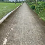Bán đất lúa trồng dừa 1123m² mặt tiền Trần Văn Rĩ, Bình Trinh Đông, Tân Trụ, Long An - 820 triệu - Ảnh thu nhỏ 1