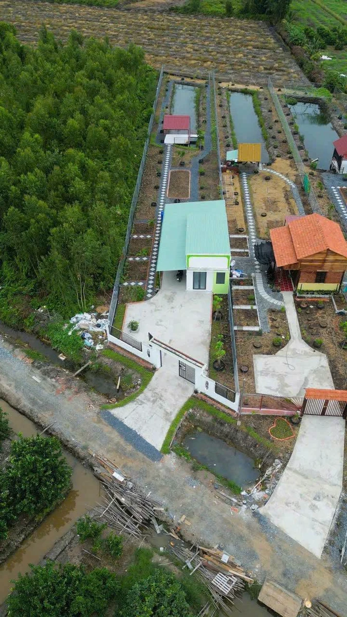 Bán nhà vườn 1000m² Thủ Thừa, Long An giá 1,199 tỷ - Ảnh 1