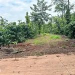 Bán lô đất 1700m2 (26x52m, thổ cư 100m2) gần hồ Ea Kao, xã Ea Tiêu, Đắk Lắk - Ảnh thu nhỏ 2