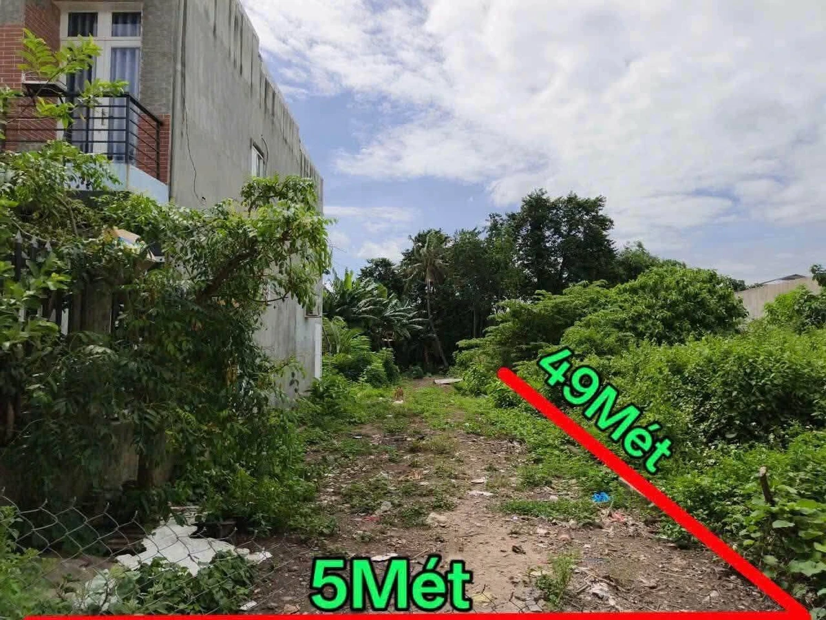Bán đất mặt tiền Bình Nhâm 28, 245m², giá 3,5 tỷ, Lái Thiêu - Ảnh thu nhỏ 5