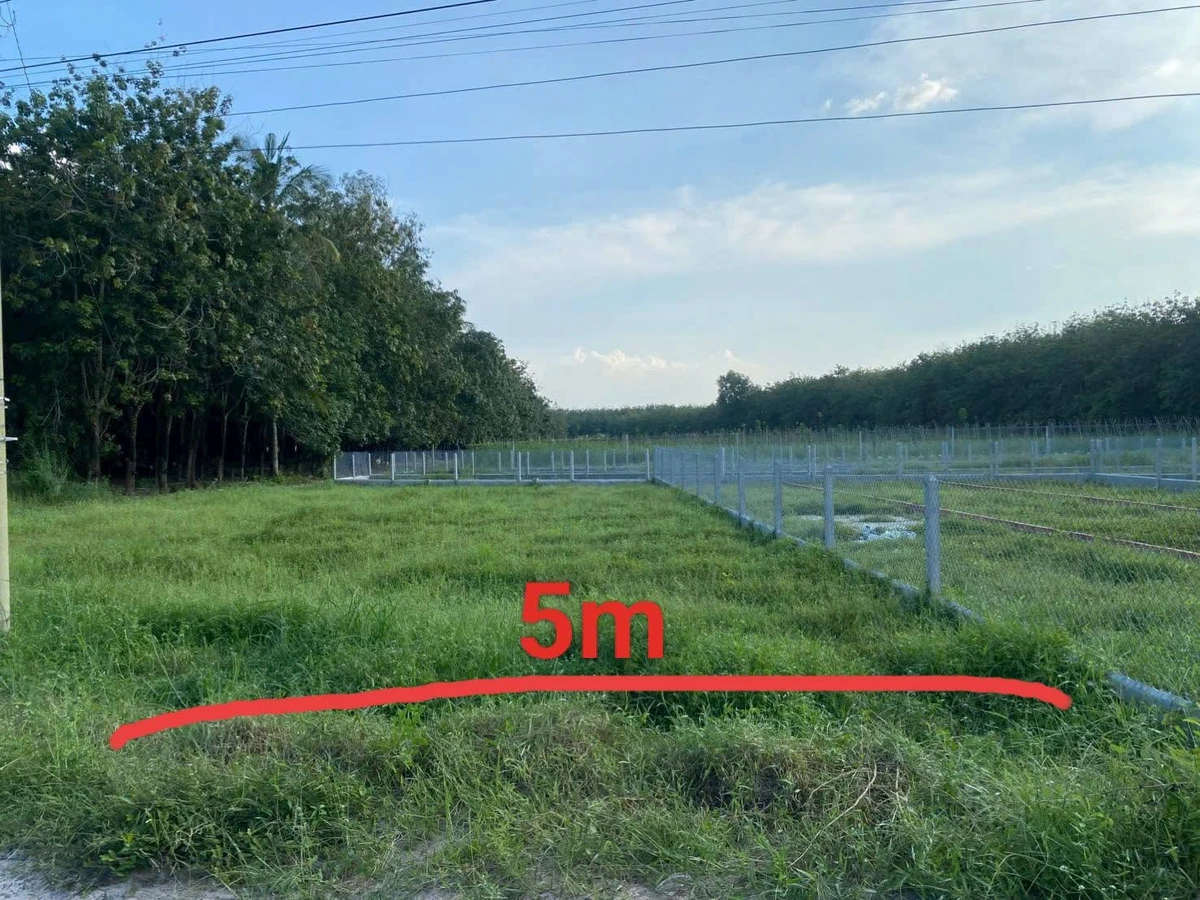 Bán lô đất 119 triệu sổ thổ cư 145m² Tây Ninh - Ảnh thu nhỏ 3