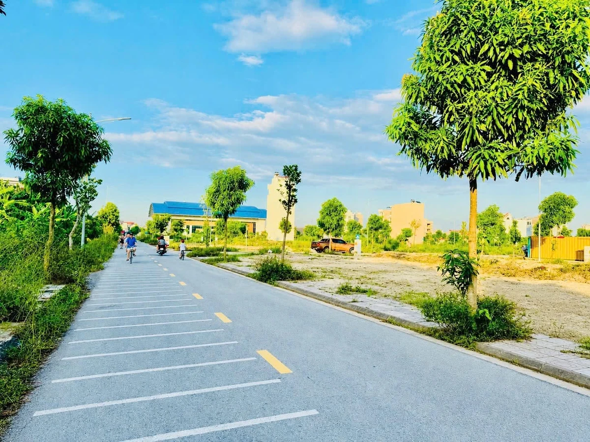 Bán lô đất 60m² mặt tiền 5m Bùi Viện, Hóc Môn - Ảnh thu nhỏ 2