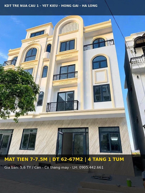 Bán nhà 4 tầng 1 tum, 5PN, 62-67m2, Hạ Long