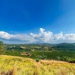 Bán lô đất 300m² tại Di Linh Lâm Đồng, giá 299 triệu - Ảnh thu nhỏ 3