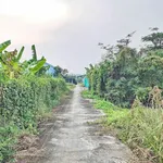 Bán đất vườn 484m2 Thị Trấn Cần Giuộc 1,55 tỷ - Ảnh thu nhỏ 1