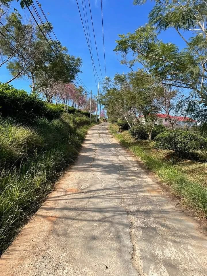 Bán nhà vườn 1000m² tại Đà Lạt, 2 phòng ngủ, 2.3 tỷ - Ảnh thu nhỏ 4