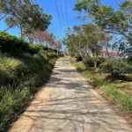 Bán nhà vườn 1000m² tại Đà Lạt, 2 phòng ngủ, 2.3 tỷ - Ảnh thu nhỏ 4