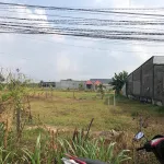 Chỉ 1,32 tỷ sở hữu ngay đất thổ cư 243m2 liền kề siêu dự án Vinhomes - Ảnh thu nhỏ 10
