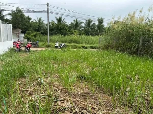 Bán 2 nền liền kề biệt thự 300m² Hữu Định Bến Tre 2.2 tỷ - Ảnh thu nhỏ 5