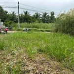 Bán 2 nền liền kề biệt thự 300m² Hữu Định Bến Tre 2.2 tỷ - Ảnh thu nhỏ 5
