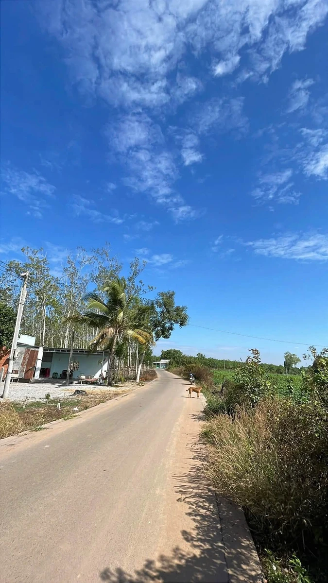 Bán đất 1500m² xã Dầu Tiếng TP HCM 1 tỷ - Ảnh thu nhỏ 2