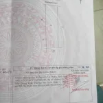 Giảm mạnh đất 541m2 thổ cư Tân Mỹ, Đức Hòa, Long An (nay là Hậu Nghĩa, T Tây Ninh) | ngang 12m - Ảnh thu nhỏ 10