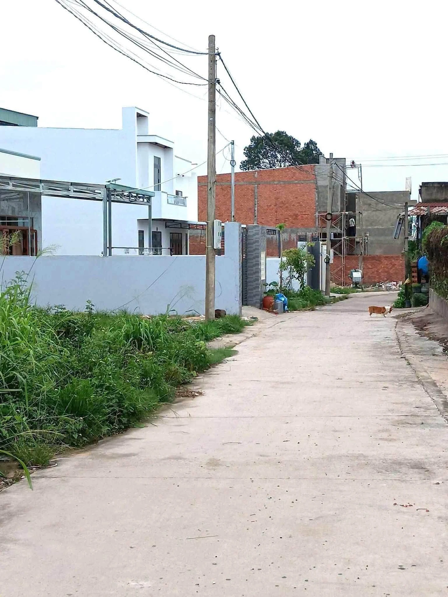 Bán đất Tương Bình Hiệp Thủ Dầu Một 120m² 1,7 tỷ - Ảnh 1