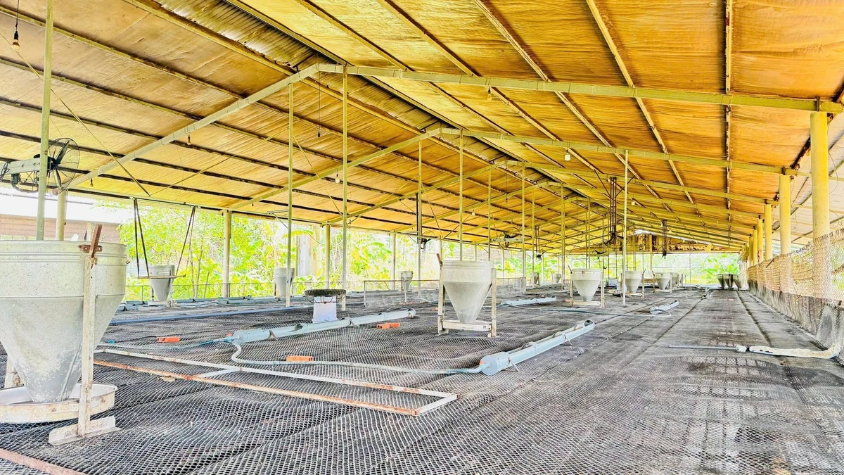 Bán trại heo 10.000m² Dầu Giây, Đồng Nai, 6,3 tỷ - Ảnh thu nhỏ 2