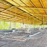 Bán trại heo 10.000m² Dầu Giây, Đồng Nai, 6,3 tỷ - Ảnh thu nhỏ 2