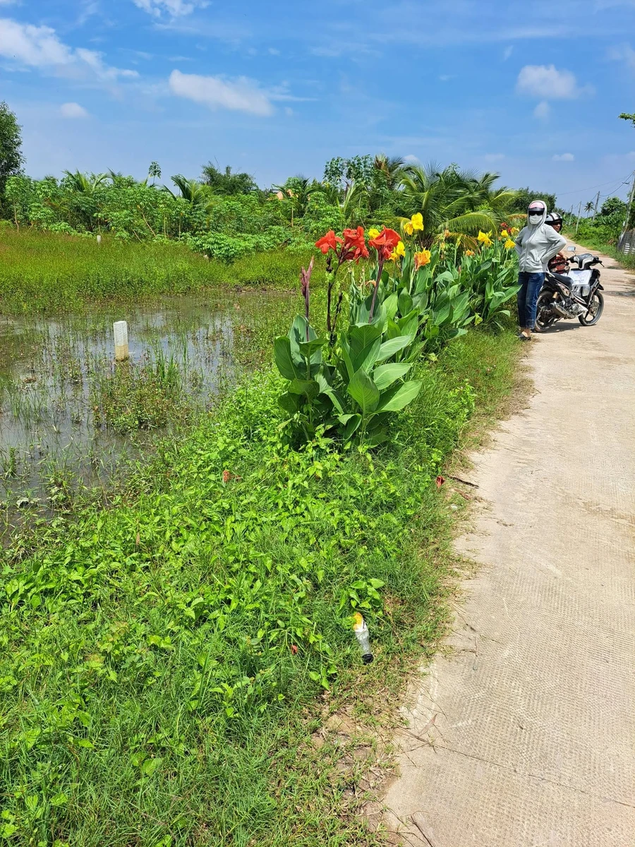 Bán đất thổ 100% 275m² Bình Hòa Bắc Đức Huệ 450 triệu - Ảnh thu nhỏ 2