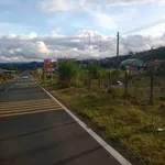 Bán lô đất nông nghiệp 5.500m² tại Măng Đen, view thung lũng - Ảnh thu nhỏ 5