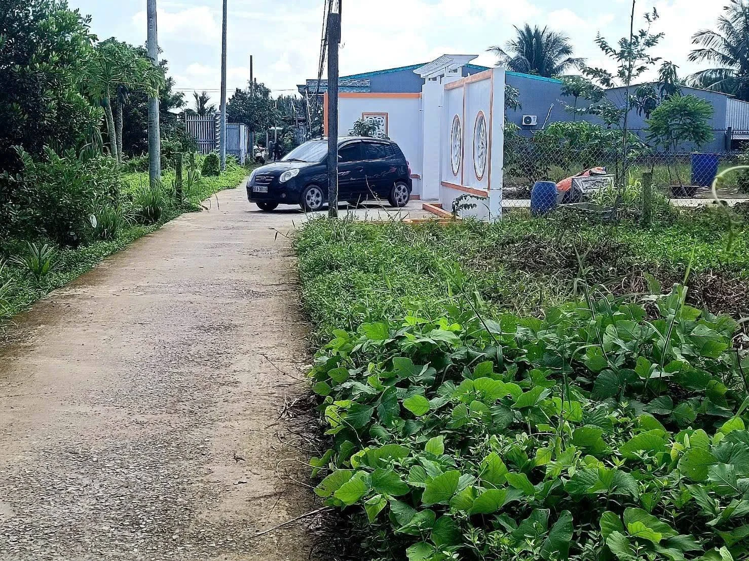 Bán đất nền 140m² Xã Tân Trụ, Tây Ninh 499 triệu - Ảnh 1