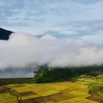 Bán mảnh đất siêu đẹp tại xã Krông Bông, Đắk Lắk, giá siêu tốt chỉ 250 triệu, 2.500m2 view hồ - Ảnh thu nhỏ 10