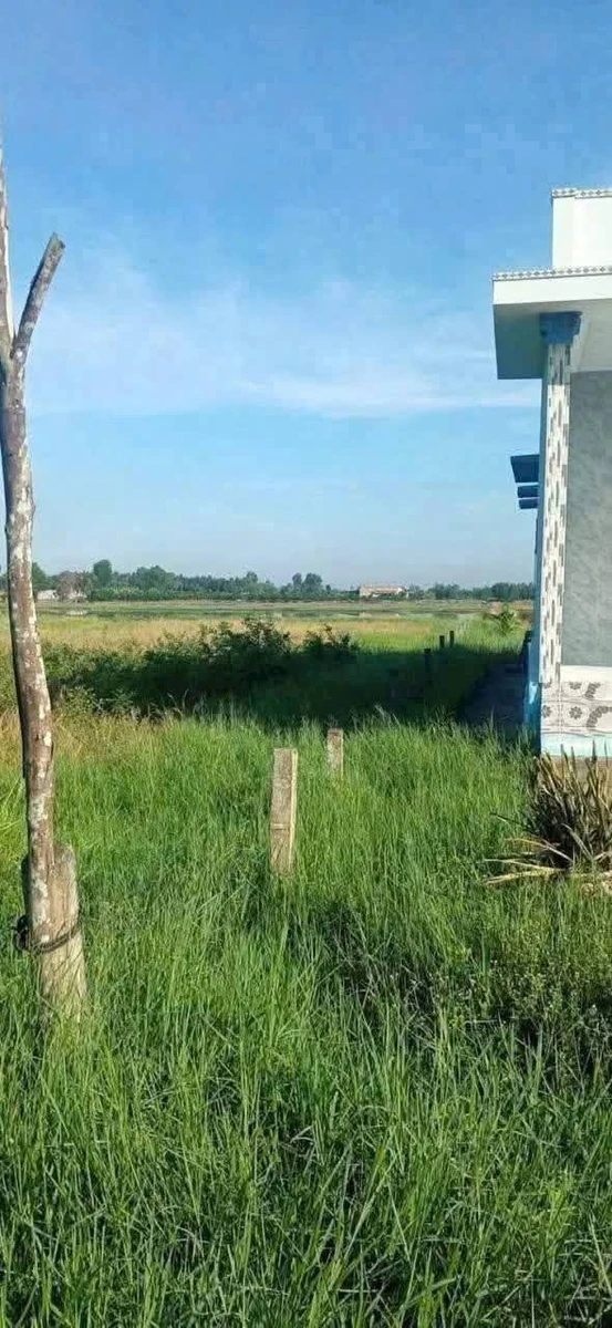 Bán đất thổ cư và lúa mặt tiền đường đê 1907m² Tân Thành - Ảnh thu nhỏ 4