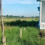 Bán đất thổ cư và lúa mặt tiền đường đê 1907m² Tân Thành - Ảnh thu nhỏ 4