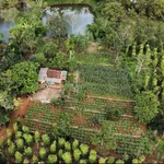 Bán đất vườn sinh thái 3.866m² Buôn Ma Thuột 8 tỷ - Ảnh thu nhỏ 1