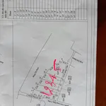 Bán nền đất Cà Mau 99m² 460 triệu Tân Thành - Ảnh thu nhỏ 3