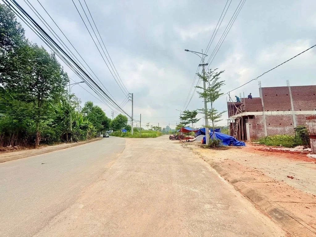 Bán lô đất 100m² mặt đường Trần Phú, Bình Chánh - Ảnh 1