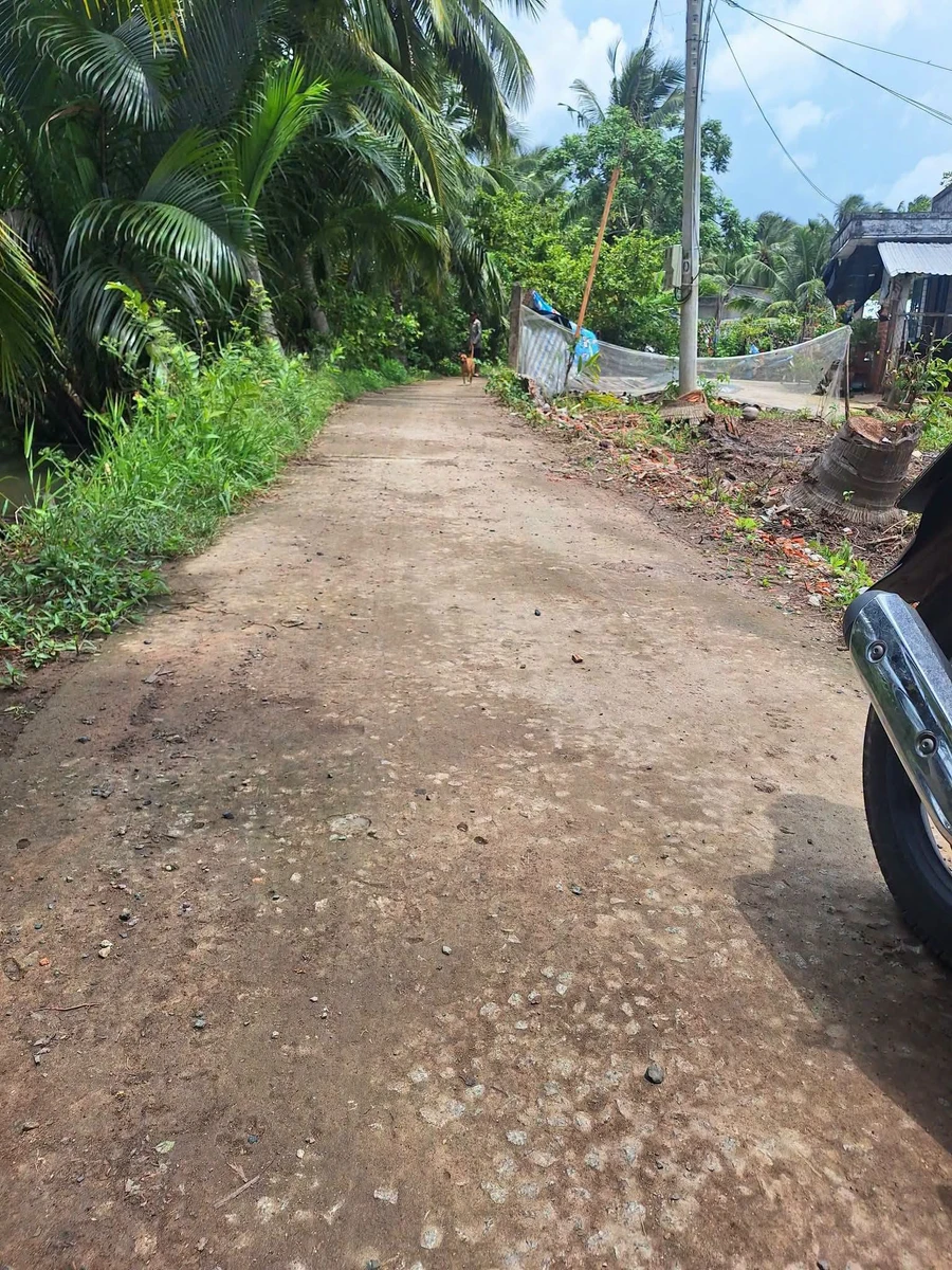 Bán đất nền 500m² xã An Ngãi Trung Ba Tri - Ảnh 1