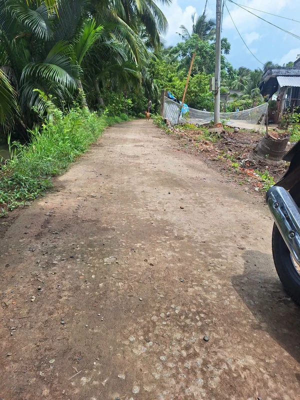 Bán đất nền 500m² xã An Ngãi Trung Ba Tri