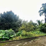 Bán đất Châu Đức 13.000m2 (200m thổ cư) 22 tỷ - Ảnh thu nhỏ 2