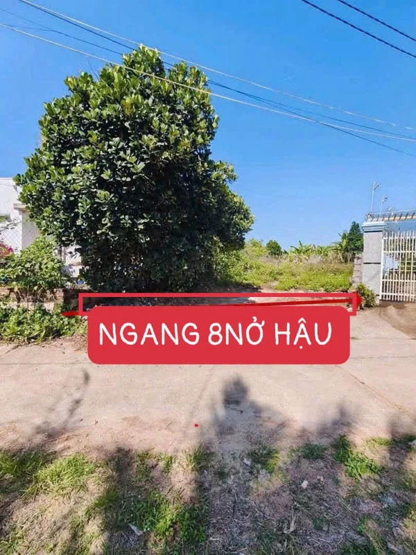 Bán đất vườn 468m² Suối Hiệp Khánh Hòa 1 tỷ 300 triệu