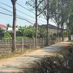 Bán nền 173m² Xã Bình Phú Bến Tre 790 triệu - Ảnh thu nhỏ 3