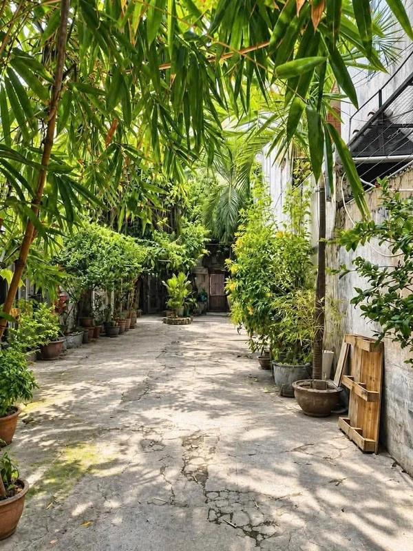 Bán đất Ninh Môn Nội Bài 78m² giá 1.85 tỷ gần trường học 803k
