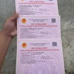Nhà đất Phạm Tín tư vấn đầu tư nhà đất tại Trà Vinh - Phường Long Đức - đất nền thổ cư 100% - Ảnh thu nhỏ 23