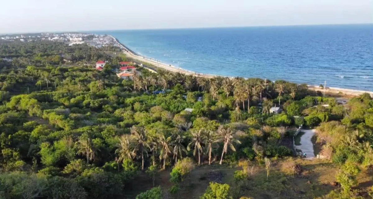 Bán 5 sào đất view biển Phú Quý, Bình Thuận 10,96 tỷ - Ảnh 1