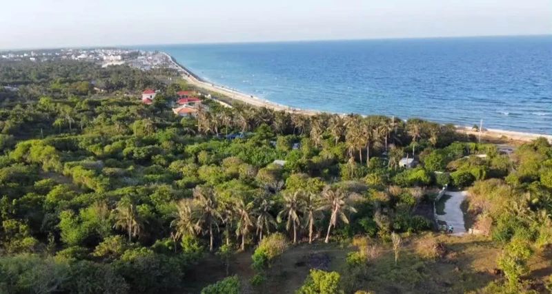 Bán 5 sào đất view biển Phú Quý, Bình Thuận 10,96 tỷ