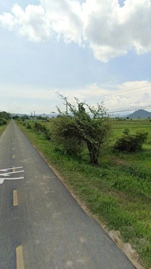 Bán 4 ha đất mặt tiền ĐT711 Hàm Thuận Bắc, Bình Thuận 270 tr/sào - Ảnh thu nhỏ 3