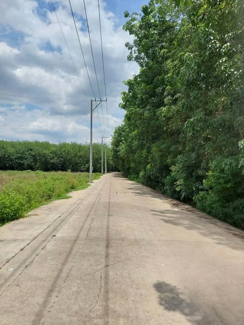 Bán đất Bình Mỹ 1.900m2 giá 3 tỷ - Ảnh thu nhỏ 2