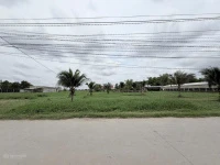 Vị trí đắc địa đầu tư ngay sát đường Động Lực 823D 125m2 đường bê tông SHR mà giá 890tr - Ảnh thu nhỏ 5