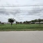 Vị trí đắc địa đầu tư ngay sát đường Động Lực 823D 125m2 đường bê tông SHR mà giá 890tr - Ảnh thu nhỏ 5