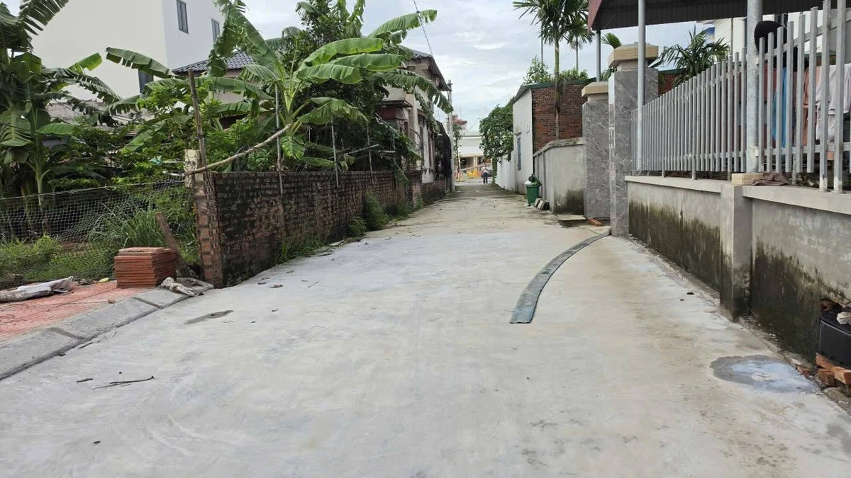Bán đất 95m2 sát dự án Bình Dân, Kim Thành, từ 1 tỷ - Ảnh thu nhỏ 4