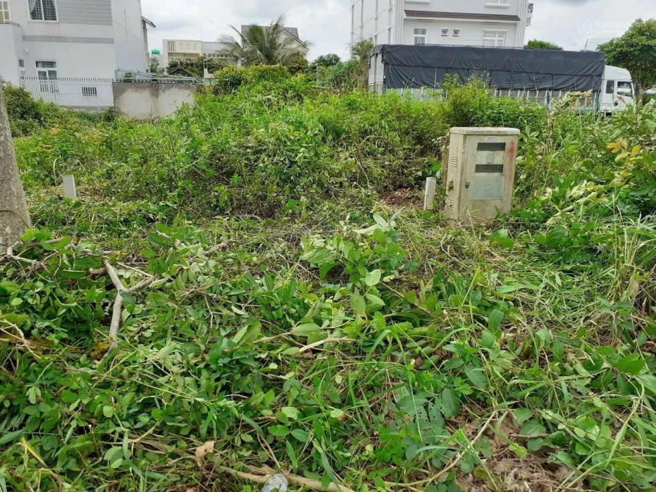 Bán đất tại Khu dân cư Sao Mai, 2,5 tỷ, 112,3 m2, view đẹp, giá cực chất - Ảnh thu nhỏ 3
