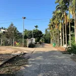 Bán đất 10m ngang góc 2 mặt tiền 290m² Thành Nhất - Ảnh thu nhỏ 1