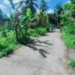 Bán đất mặt tiền 147m2 Thuận Điền 370 triệu - Ảnh thu nhỏ 1