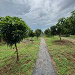 Bán đất Long Tân 1686m2 giá 2 tỷ 3 - Ảnh thu nhỏ 5