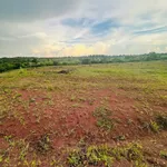 Bán đất 1,7 ha tại Buôn Đôn, Đắk Lắk giáp suối - Ảnh thu nhỏ 2