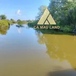 Bán đất 7.420m² nuôi trồng thủy sản Hồ Thị Kỷ, Cà Mau - Ảnh thu nhỏ 4