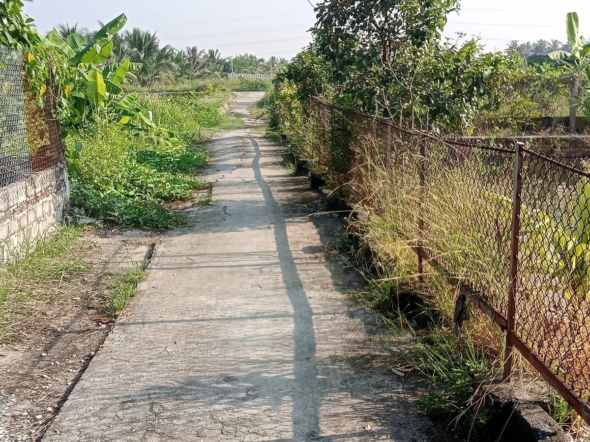 Bán nhà vườn 3.600 m² Kiến Thụy, Hải Phòng - Ảnh thu nhỏ 5